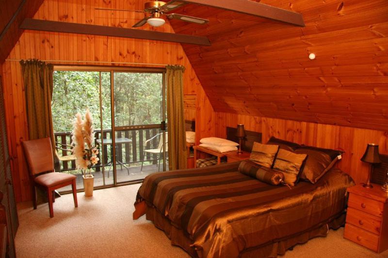 Springbrook Mountain Chalets Room photo