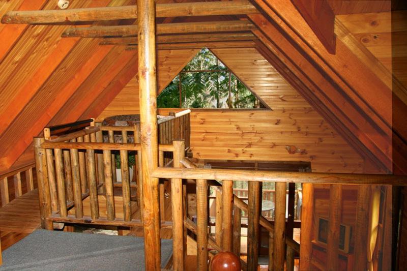 Springbrook Mountain Chalets Room photo