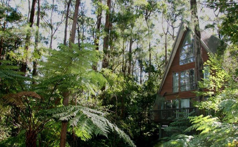 Springbrook Mountain Chalets Exterior photo