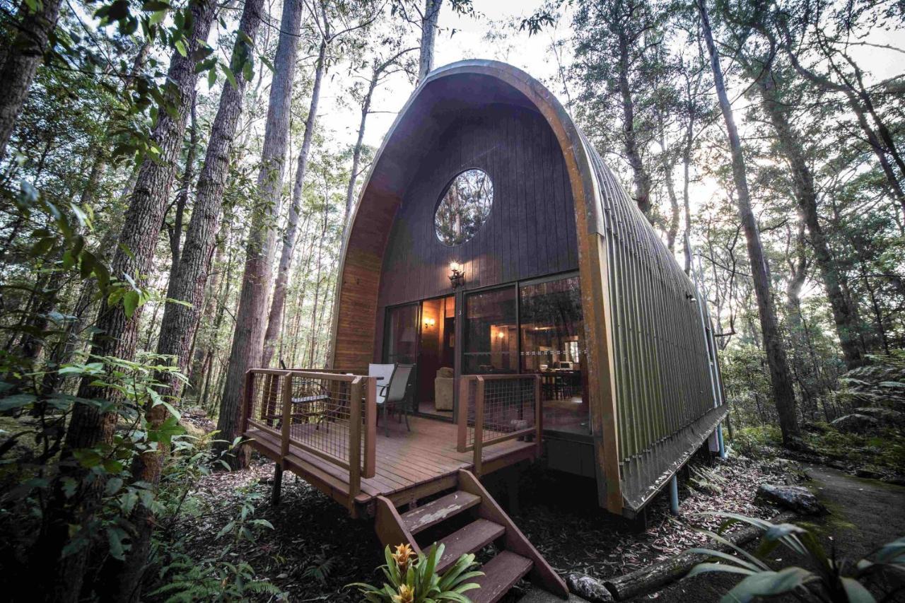 Springbrook Mountain Chalets Exterior photo